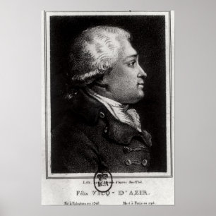 Portrait von Felix Vicq d'Azyr Poster