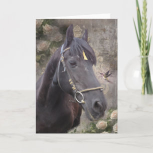 Portrait von Friesian Horse - Grußkarte Dankeskarte