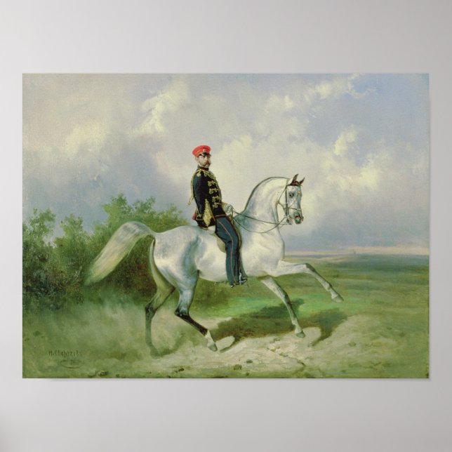 Portrait von Kaiser Alexander II. 1876 Poster (Vorne)