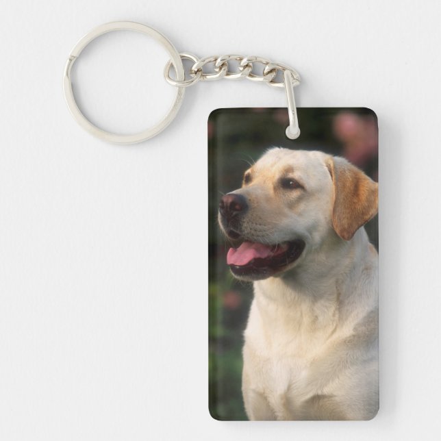 Portrait von Labrador Retriever, Hilton Schlüsselanhänger (Vorderseite)