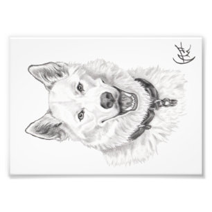 Portrait von Loki Fotodruck