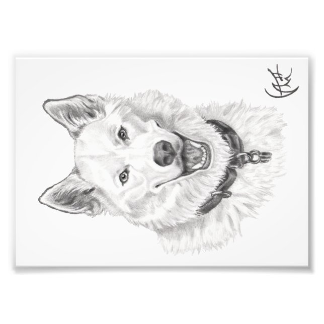 Portrait von Loki Fotodruck (Vorne)