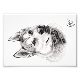 Portrait von Lugh Fotodruck