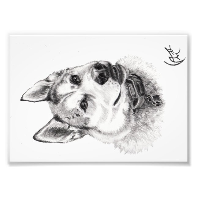 Portrait von Lugh Fotodruck (Vorne)