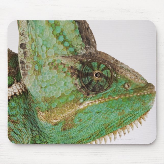 Portrait von mutig gefärbtem Jemen Chameleon Mousepad (Vorne)