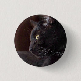 Portrait von My Boy, Charlie Button