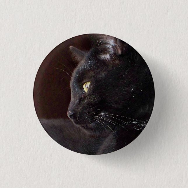 Portrait von My Boy, Charlie Button (Vorderseite)