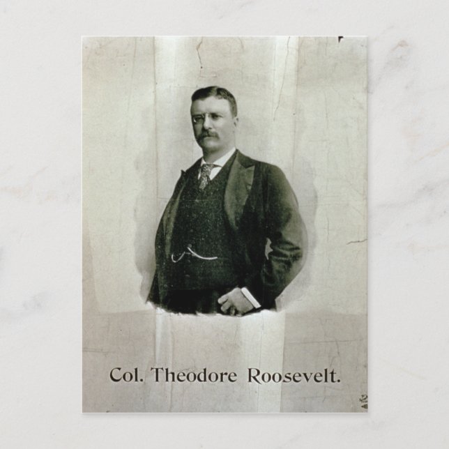 Portrait von Oberst Theodore Roosevelt (Litho) Postkarte (Vorderseite)