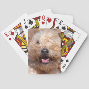 Portrait "Weichkalotte" Spielkarten