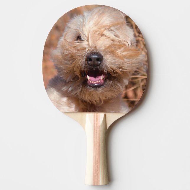 Portrait "Weichkalotte" Tischtennis Schläger (Vorderseite)