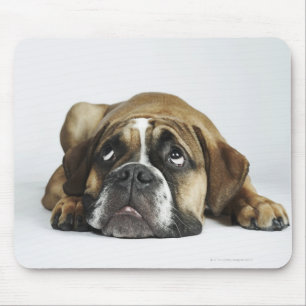 Porträt alter Tyme Bulldogge Dorsets Mousepad