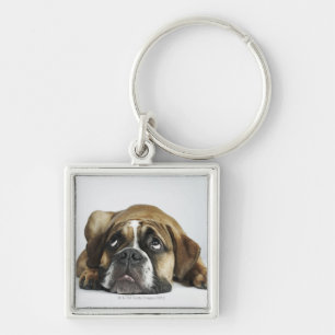 Porträt alter Tyme Bulldogge Dorsets Schlüsselanhänger
