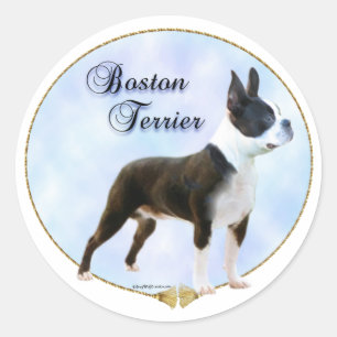 Porträt-Aufkleber Bostons Terrier Runder Aufkleber