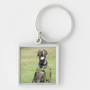 Porträt der blauen Deutscher Dogge Schlüsselanhänger