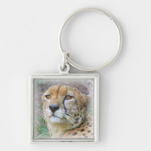 Porträt der Cheetah Schlüsselanhänger