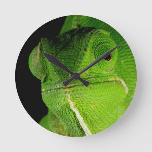 Porträt der flap-halsigen Chamäleon Runde Wanduhr