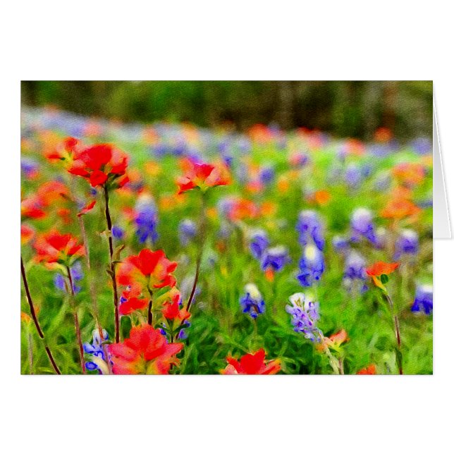 Porträt der Frühlings-Wildblume-Karten (Vorderseite (Horizontal))