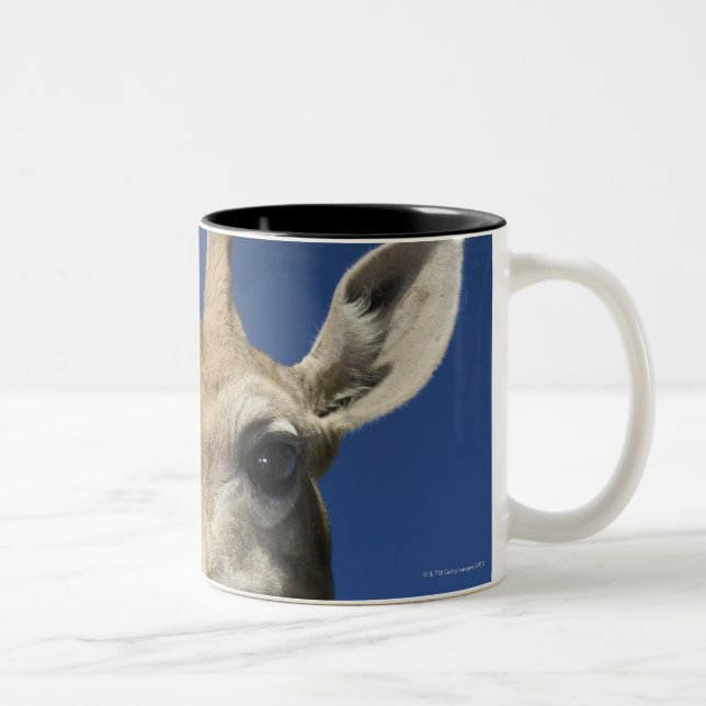 Porträt der Giraffe (Giraffa Camelopardalis) 2 Zweifarbige Tasse (Rechts)