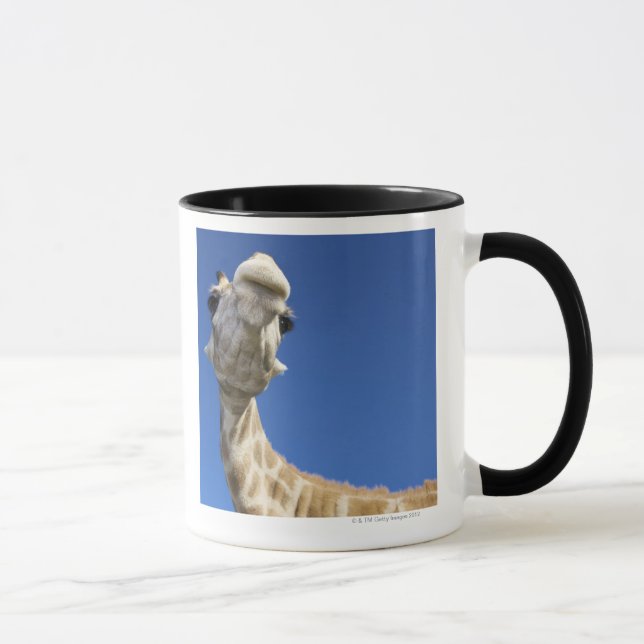 Porträt der Giraffe (Giraffa Camelopardalis) Tasse (Rechts)