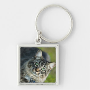 Porträt der Katze draußen Schlüsselanhänger