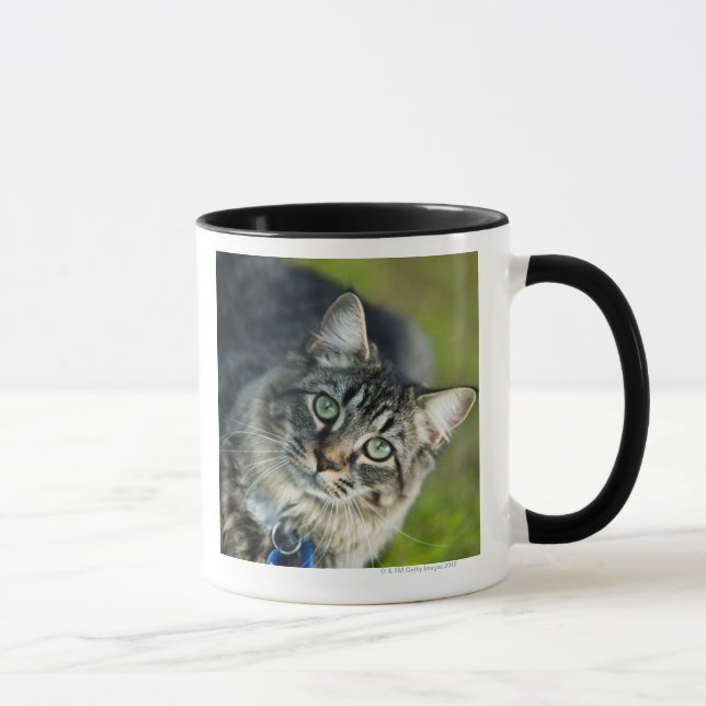 Porträt der Katze draußen Tasse (Rechts)