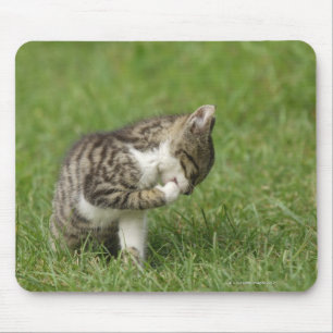 Porträt der Katze Mousepad