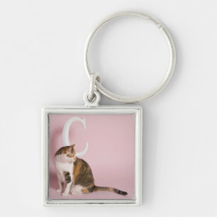 Porträt der Katze Schlüsselanhänger