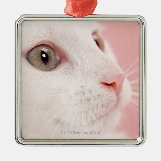 Porträt der Katze Silbernes Ornament (Vorne)