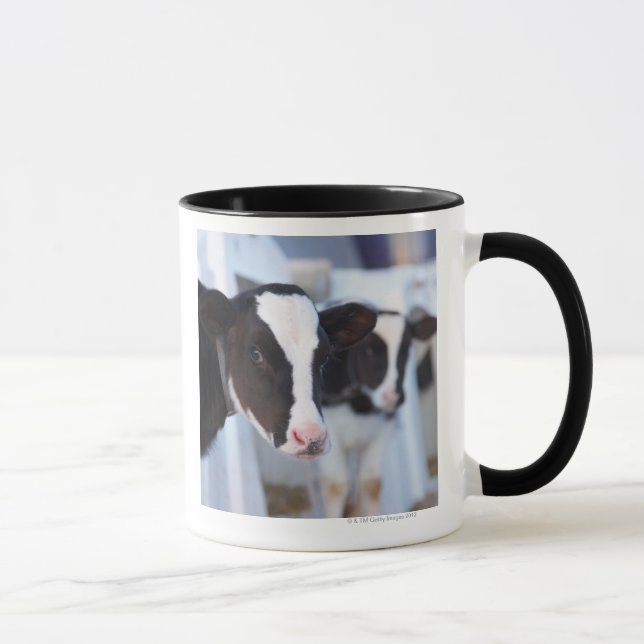 Porträt der Kuh Tasse (Rechts)