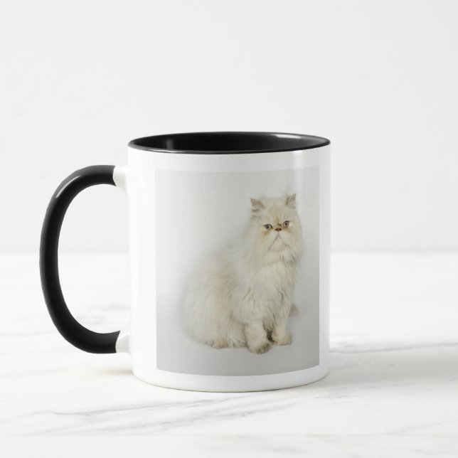 Porträt der persischen Katze Tasse (Links)