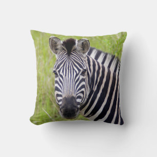 Porträt der Plains-Zebra, Hluhluwe-Umfolozi-Wildre Kissen