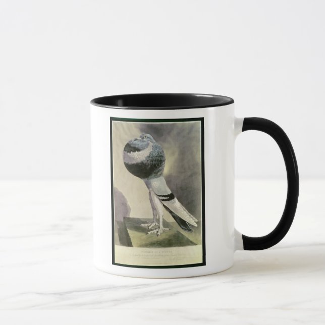 Porträt der Pouter-Taube Tasse (Rechts)