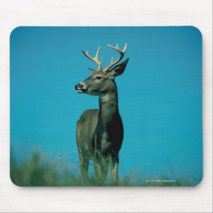 Porträt der Rotwild Mousepad