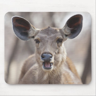 Porträt der Sambarrotwild-Damhirschkuh (Rusa Mousepad