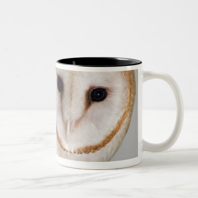 Porträt der Schleiereule (Tyto alba). Zweifarbige Tasse (Rechts)