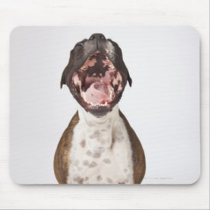 Porträt des Boxerhundes gähnend Mousepad