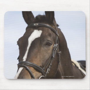 Porträt des braunen Pferds Mousepad
