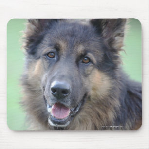 Porträt des Deutschen Sheppard Mousepad