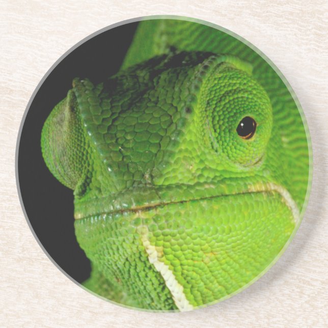 Porträt des flap-hals-chamäleons getränkeuntersetzer (Vorne)