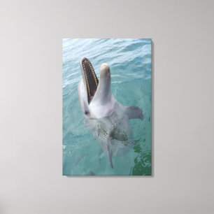 Porträt des gemeinen Bottlenose-Delphins, Leinwanddruck
