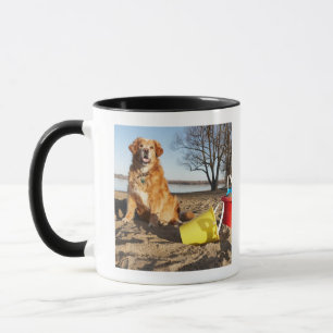 Porträt des Hundes am Strand mit Sand spielt, Tasse