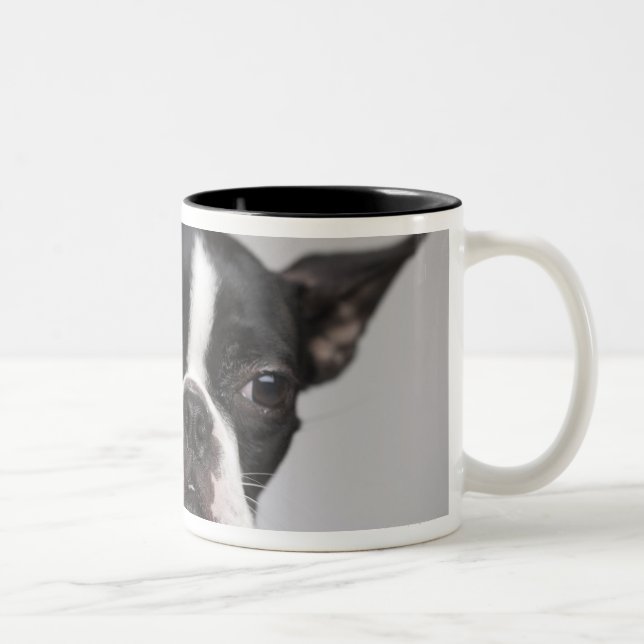 Porträt des Hundes Zweifarbige Tasse (Rechts)