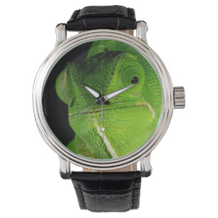 Porträt des Klappe-Necked Chamäleons Armbanduhr
