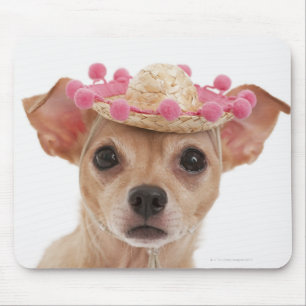Porträt des kleinen Hundes im Sombrero Mousepad