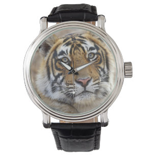 Porträt des königlichen Bengal-Tigers, Ranthambhor Armbanduhr