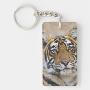 Porträt des königlichen Bengal-Tigers, Ranthambhor Schlüsselanhänger