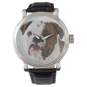 Porträt des niedlichen Bulldoggenwelpen Armbanduhr