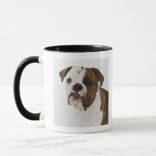 Porträt des niedlichen Bulldoggenwelpen Tasse