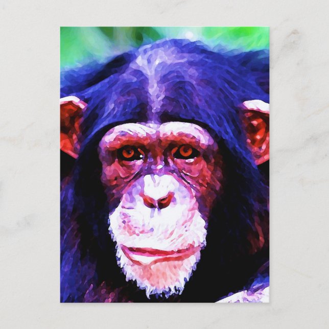 Porträt des Schimpansen Postkarte (Vorderseite)
