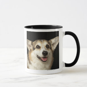 Porträt des schwarzen, braunen und weißen Corgi Tasse